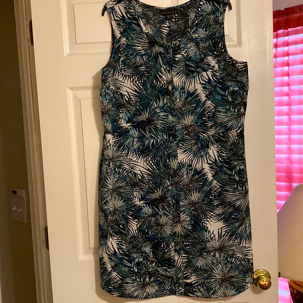 Attention Sleeveless Dress